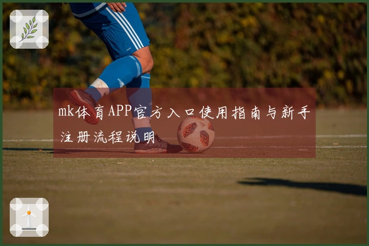 mk体育APP官方入口使用指南与新手注册流程说明