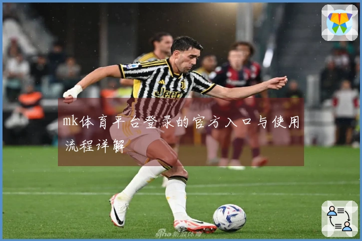 mk体育平台登录的官方入口与使用流程详解