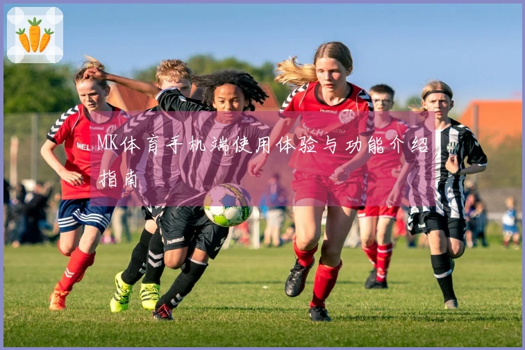 MK体育手机端使用体验与功能介绍指南
